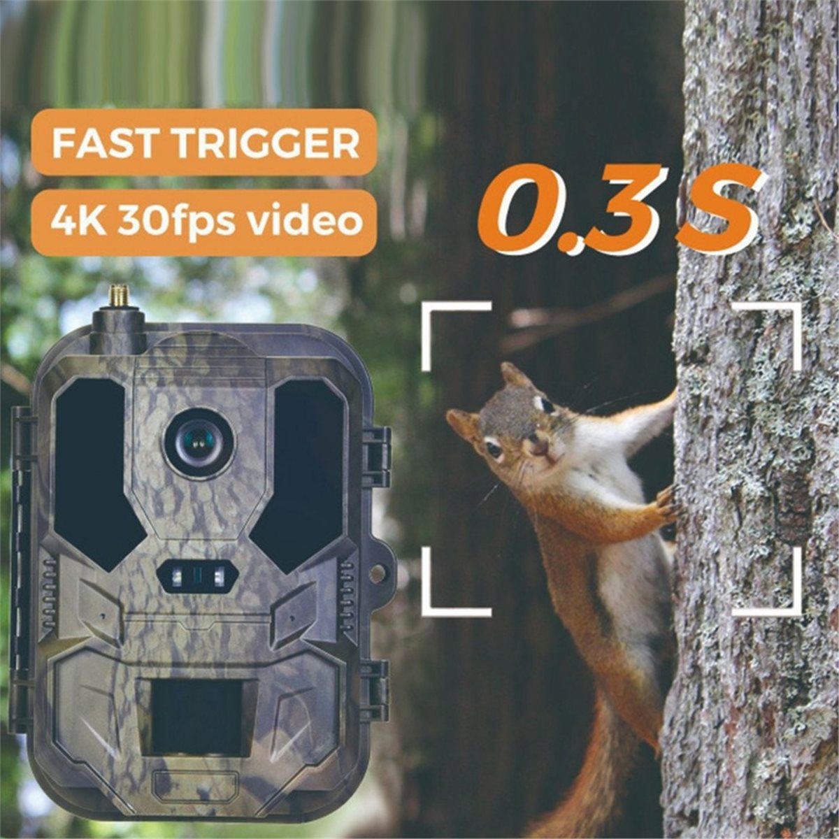 업데이트. 야외용 4G 120MP 4K 라이브 쇼 야생 - Hunting And Outdoor Shows 리뷰 및 가격