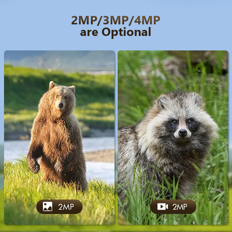 4G 4MP 야외 야생 동물 사냥 트레일 게임 카메라  - Trail Camera Infrared 리뷰 및 가격
