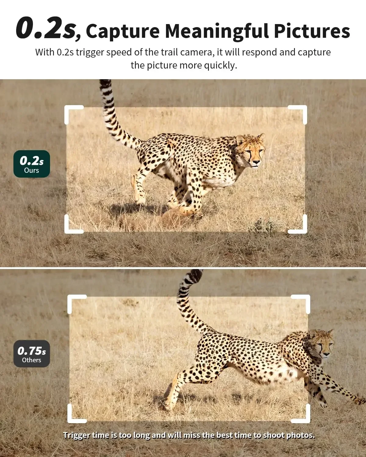 3세대 4G LTE 셀룰러 트레일 카메라 - 2K 라이 - Trail Camera Infrared 리뷰 및 가격